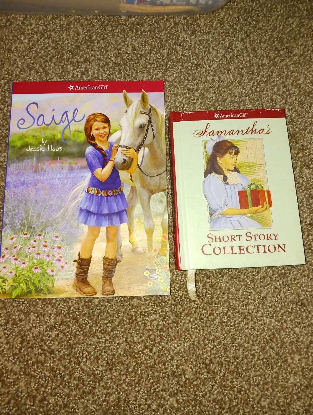 Set Of 2 American Girl Dolls Books